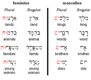 Hebrew Nouns: Gender and Number— Biblical Hebrew Made Easy! - Biblical  Hebrew Made Easy!